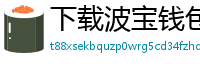 下载波宝钱包